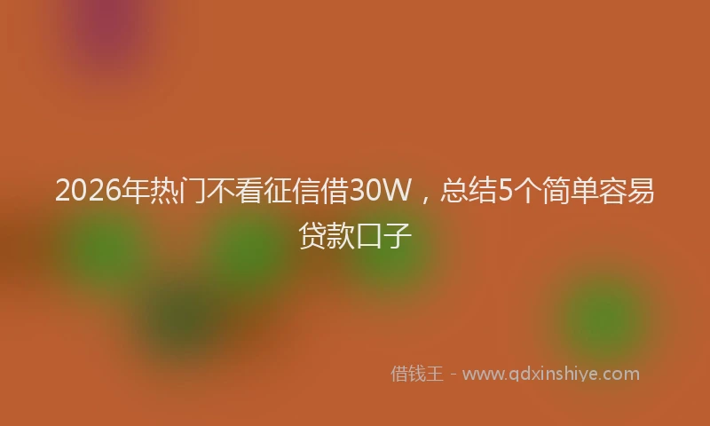 2026年热门不看征信借30W，总结5个简单容易贷款口子