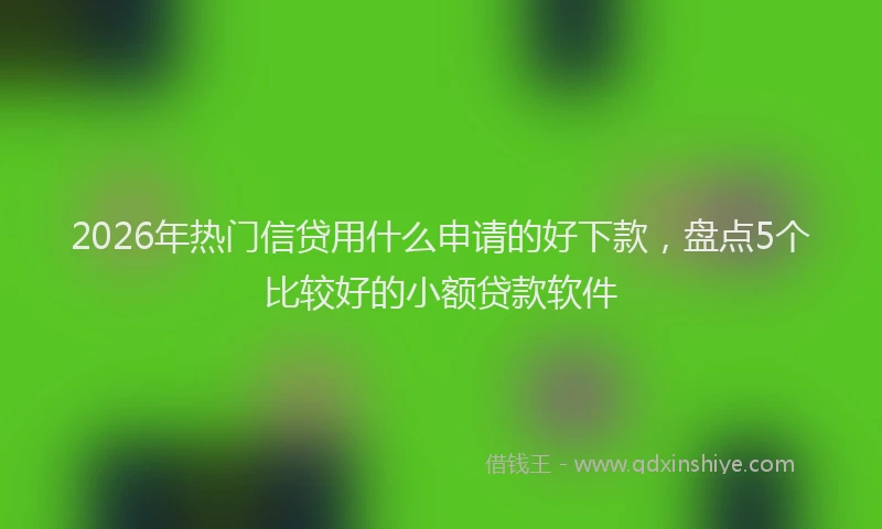 2026年热门信贷用什么申请的好下款，盘点5个比较好的小额贷款软件