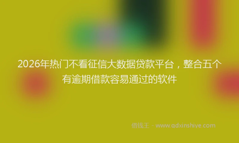 2026年热门不看征信大数据贷款平台，整合五个有逾期借款容易通过的软件