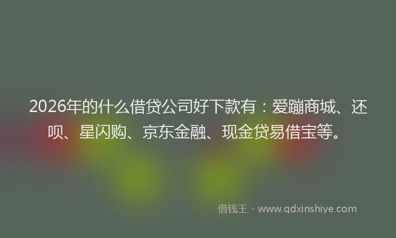 2026年的什么借贷公司好下款有：爱蹦商城、还呗、星闪购、京东金融、现金贷易借宝等。