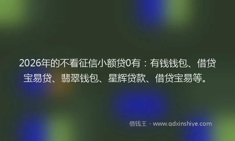 2026年的不看征信小额贷0有：有钱钱包、借贷宝易贷、翡翠钱包、星辉贷款、借贷宝易等。
