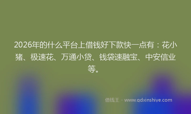 2026年的什么平台上借钱好下款快一点有：花小猪、极速花、万通小贷、钱袋速融宝、中安信业等。