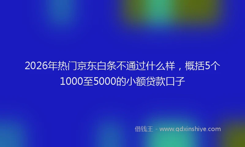 2026年热门京东白条不通过什么样，概括5个1000至5000的小额贷款口子