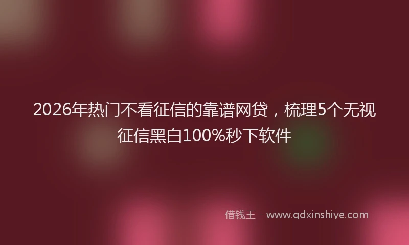2026年热门不看征信的靠谱网贷，梳理5个无视征信黑白100%秒下软件