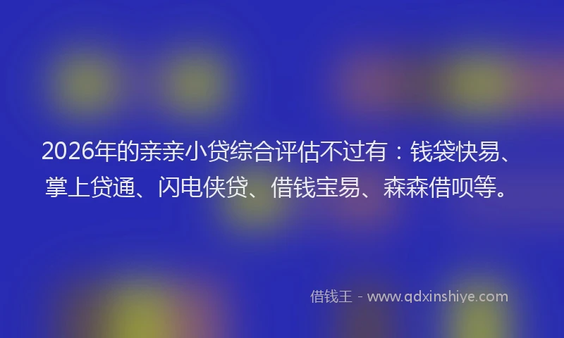 2026年的亲亲小贷综合评估不过有：钱袋快易、掌上贷通、闪电侠贷、借钱宝易、森森借呗等。