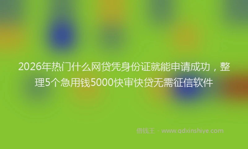 2026年热门什么网贷凭身份证就能申请成功，整理5个急用钱5000快审快贷无需征信软件