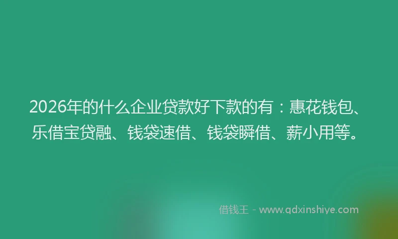 2026年的什么企业贷款好下款的有：惠花钱包、乐借宝贷融、钱袋速借、钱袋瞬借、薪小用等。