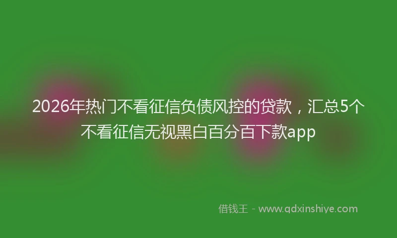 2026年热门不看征信负债风控的贷款，汇总5个不看征信无视黑白百分百下款app