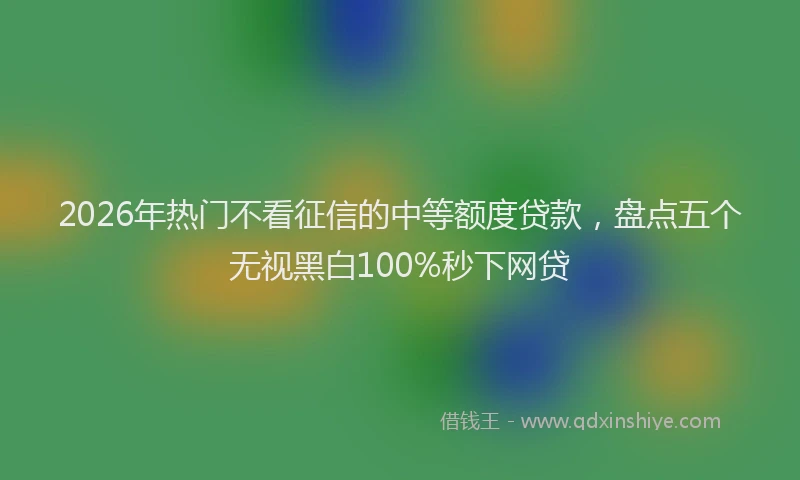 2026年热门不看征信的中等额度贷款，盘点五个无视黑白100%秒下网贷