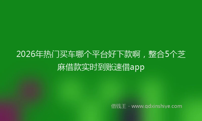 2026年热门买车哪个平台好下款啊，整合5个芝麻借款实时到账速借app