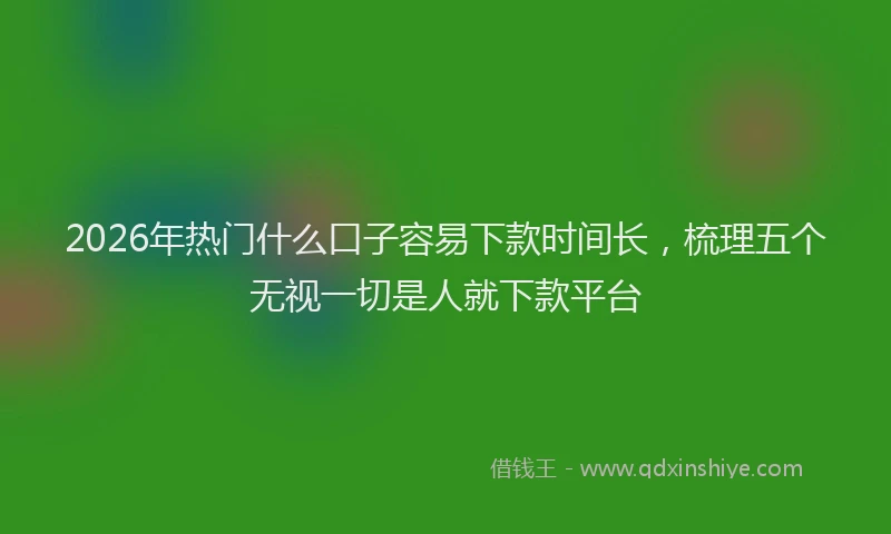 2026年热门什么口子容易下款时间长，梳理五个无视一切是人就下款平台