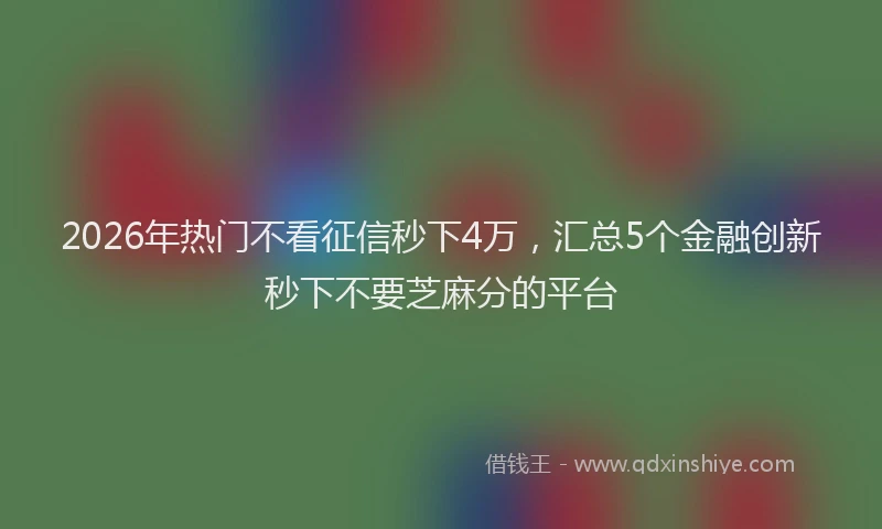 2026年热门不看征信秒下4万，汇总5个金融创新秒下不要芝麻分的平台