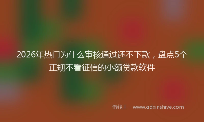 2026年热门为什么审核通过还不下款，盘点5个正规不看征信的小额贷款软件