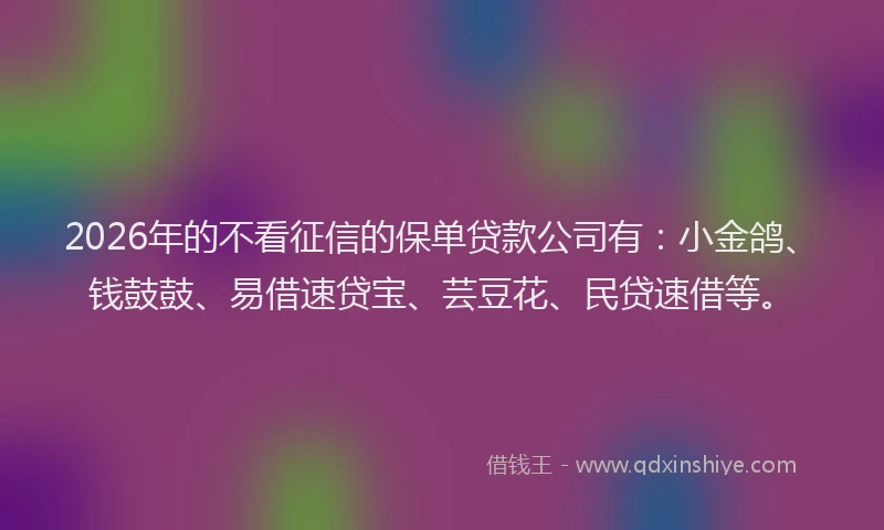 2026年的不看征信的保单贷款公司有：小金鸽、钱鼓鼓、易借速贷宝、芸豆花、民贷速借等。