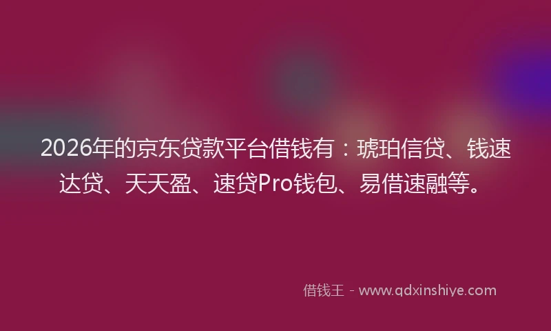2026年的京东贷款平台借钱有：琥珀信贷、钱速达贷、天天盈、速贷Pro钱包、易借速融等。