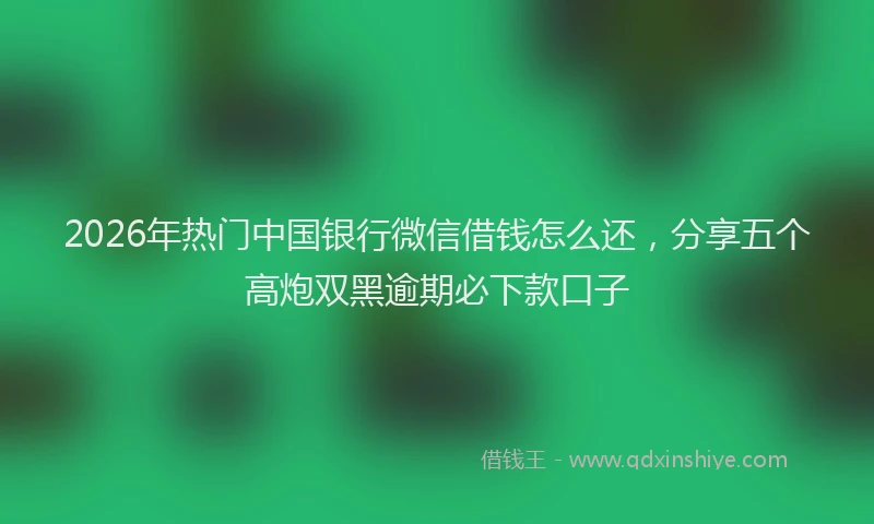 2026年热门中国银行微信借钱怎么还，分享五个高炮双黑逾期必下款口子