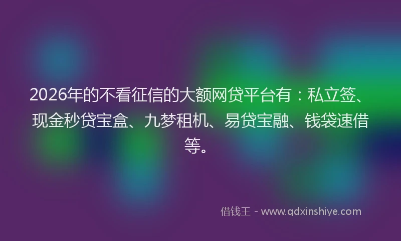 2026年的不看征信的大额网贷平台有：私立签、现金秒贷宝盒、九梦租机、易贷宝融、钱袋速借等。