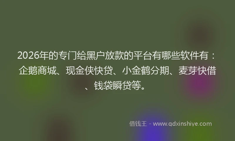 2026年的专门给黑户放款的平台有哪些软件有：企鹅商城、现金侠快贷、小金鹤分期、麦芽快借、钱袋瞬贷等。