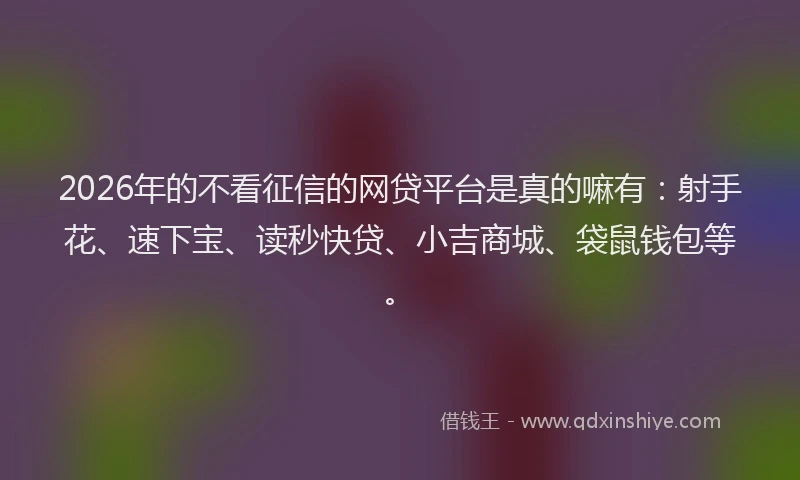2026年的不看征信的网贷平台是真的嘛有：射手花、速下宝、读秒快贷、小吉商城、袋鼠钱包等。