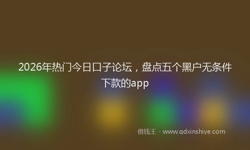 2026年热门今日口子论坛，盘点五个黑户无条件下款的app