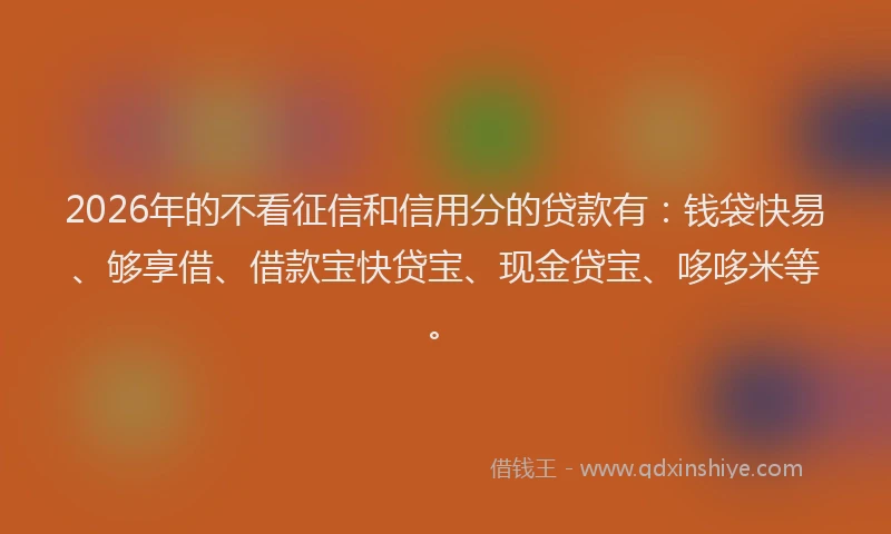 2026年的不看征信和信用分的贷款有：钱袋快易、够享借、借款宝快贷宝、现金贷宝、哆哆米等。