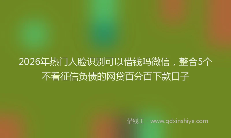 2026年热门人脸识别可以借钱吗微信，整合5个不看征信负债的网贷百分百下款口子