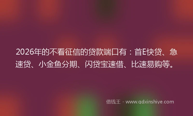 2026年的不看征信的贷款端口有：首E快贷、急速贷、小金鱼分期、闪贷宝速借、比速易购等。
