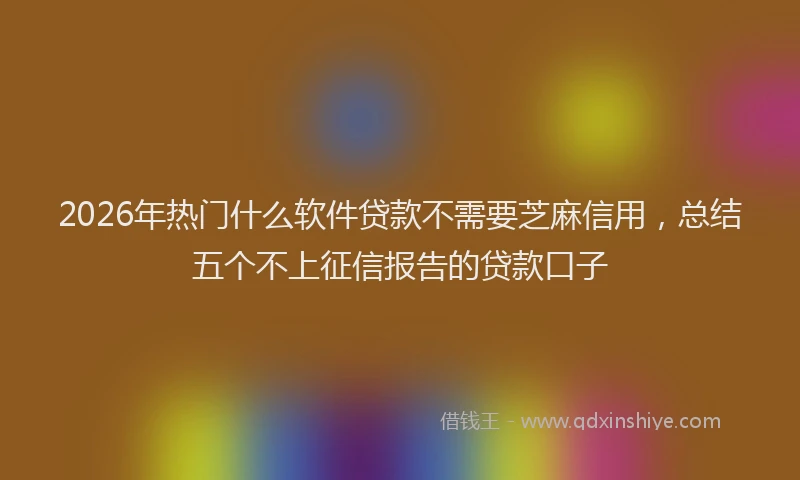 2026年热门什么软件贷款不需要芝麻信用，总结五个不上征信报告的贷款口子
