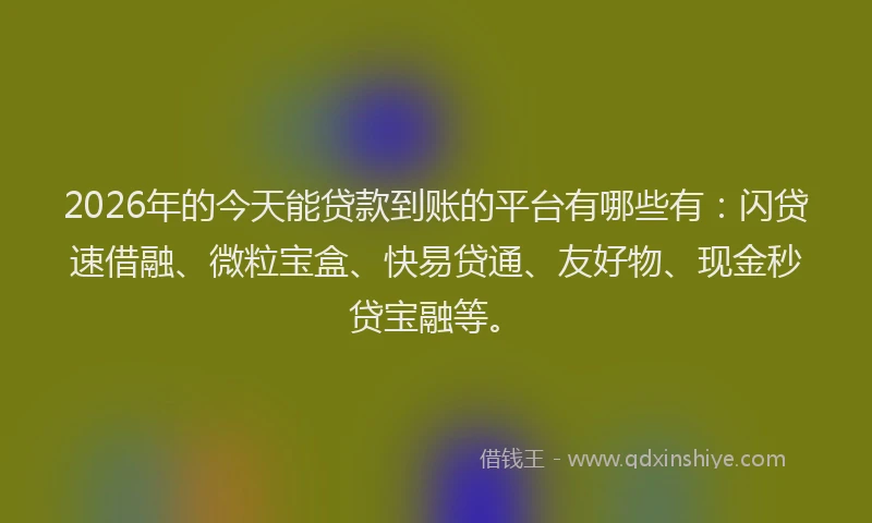 2026年的今天能贷款到账的平台有哪些有：闪贷速借融、微粒宝盒、快易贷通、友好物、现金秒贷宝融等。