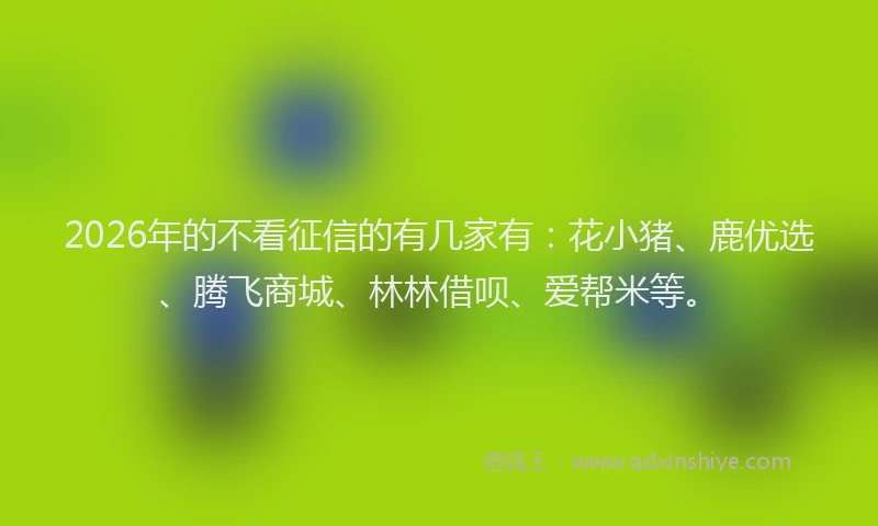 2026年的不看征信的有几家有：花小猪、鹿优选、腾飞商城、林林借呗、爱帮米等。