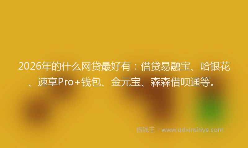 2026年的什么网贷最好有：借贷易融宝、哈银花、速享Pro+钱包、金元宝、森森借呗通等。