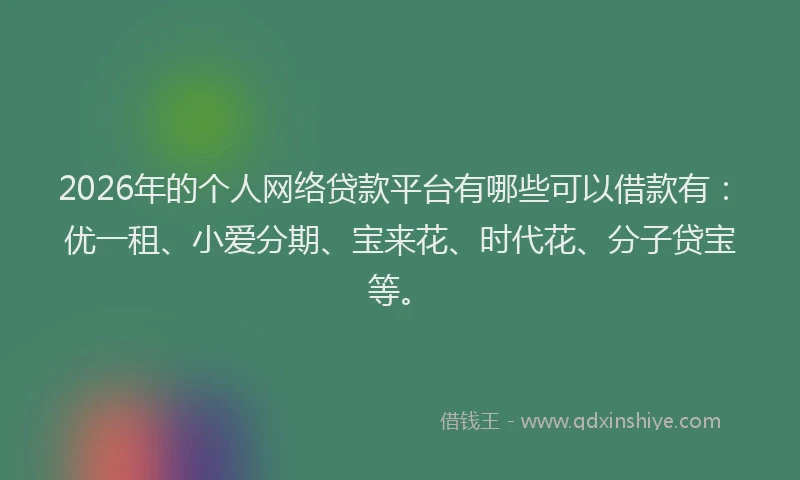 2026年的个人网络贷款平台有哪些可以借款有：优一租、小爱分期、宝来花、时代花、分子贷宝等。