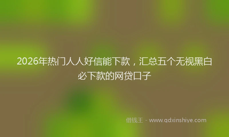 2026年热门人人好信能下款，汇总五个无视黑白必下款的网贷口子