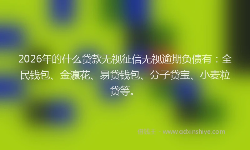2026年的什么贷款无视征信无视逾期负债有：全民钱包、金瀛花、易贷钱包、分子贷宝、小麦粒贷等。