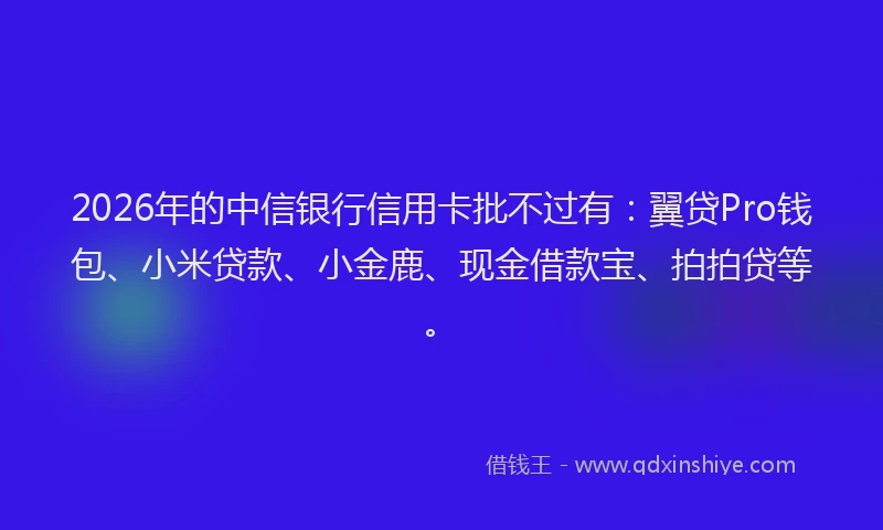 2026年的中信银行信用卡批不过有：翼贷Pro钱包、小米贷款、小金鹿、现金借款宝、拍拍贷等。