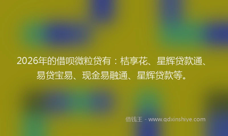 2026年的借呗微粒贷有：桔享花、星辉贷款通、易贷宝易、现金易融通、星辉贷款等。