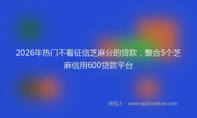 2026年热门不看征信芝麻分的贷款，整合5个芝麻信用600贷款平台