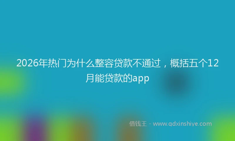 2026年热门为什么整容贷款不通过，概括五个12月能贷款的app