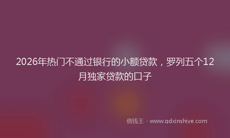 2026年热门不通过银行的小额贷款，罗列五个12月独家贷款的口子