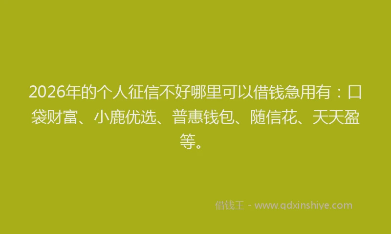 2026年的个人征信不好哪里可以借钱急用有：口袋财富、小鹿优选、普惠钱包、随信花、天天盈等。