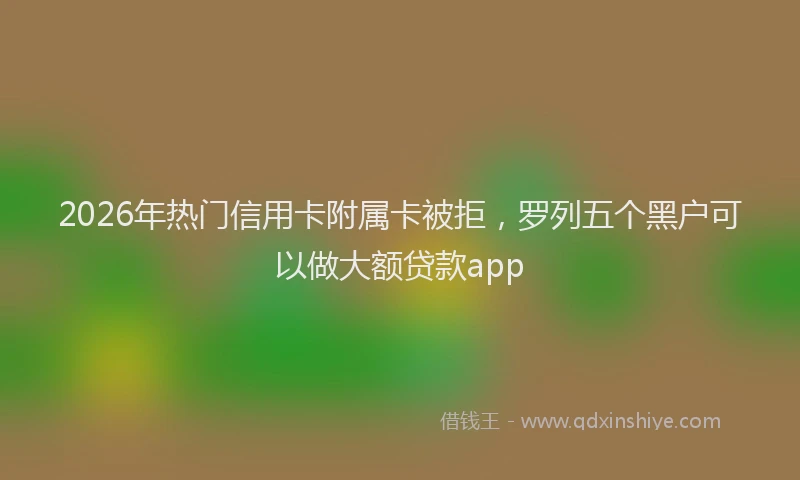 2026年热门信用卡附属卡被拒，罗列五个黑户可以做大额贷款app