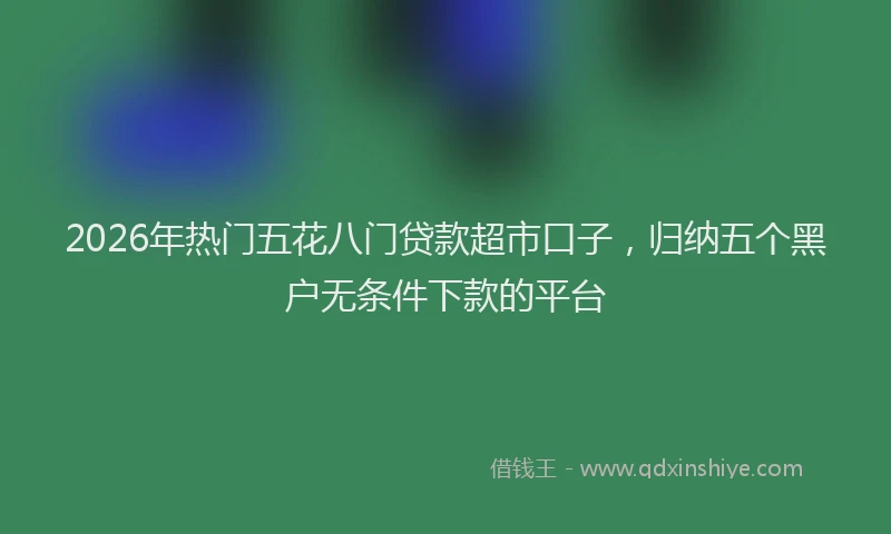 2026年热门五花八门贷款超市口子，归纳五个黑户无条件下款的平台