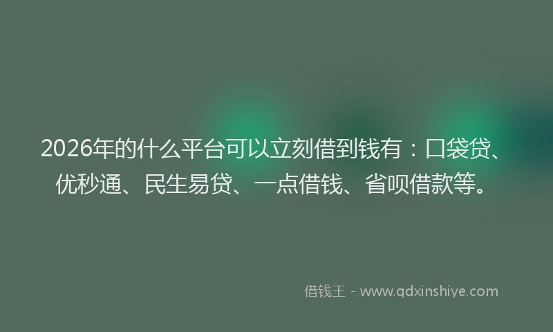 2026年的什么平台可以立刻借到钱有：口袋贷、优秒通、民生易贷、一点借钱、省呗借款等。
