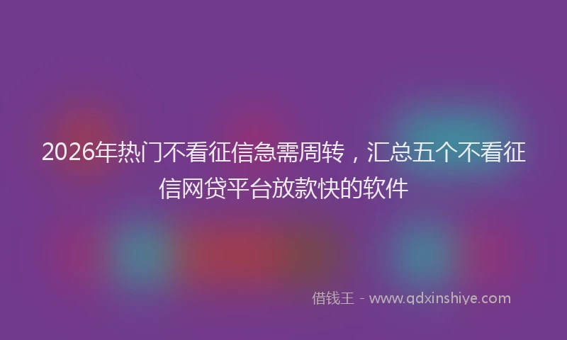 2026年热门不看征信急需周转，汇总五个不看征信网贷平台放款快的软件