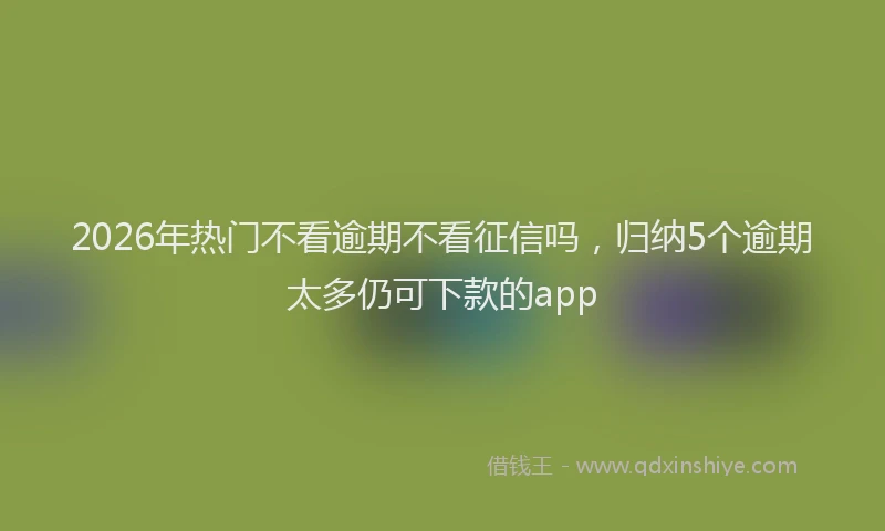 2026年热门不看逾期不看征信吗，归纳5个逾期太多仍可下款的app