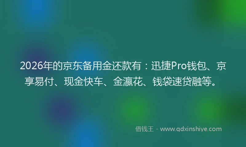 2026年的京东备用金还款有：迅捷Pro钱包、京享易付、现金快车、金瀛花、钱袋速贷融等。