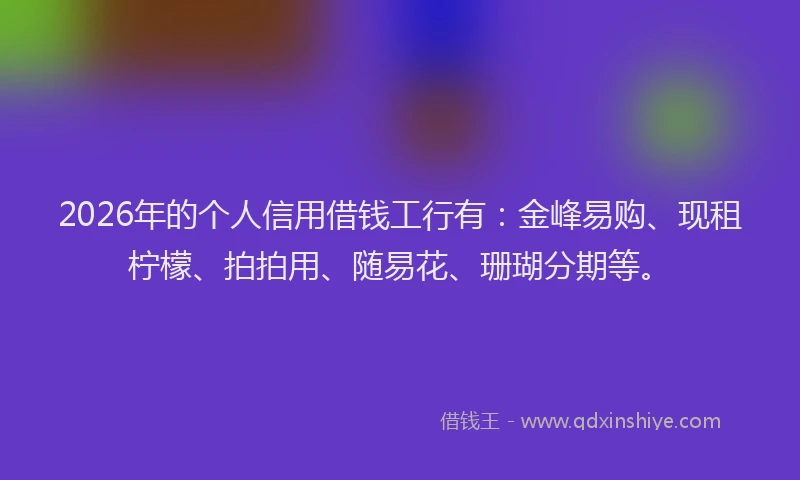 2026年的个人信用借钱工行有：金峰易购、现租柠檬、拍拍用、随易花、珊瑚分期等。