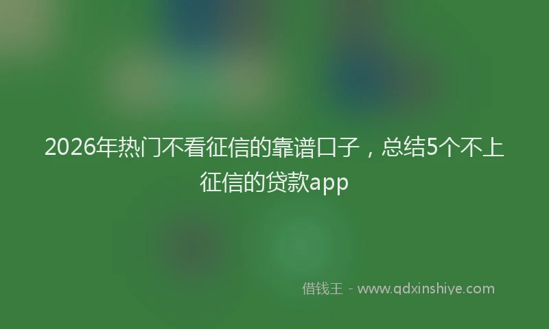 2026年热门不看征信的靠谱口子，总结5个不上征信的贷款app