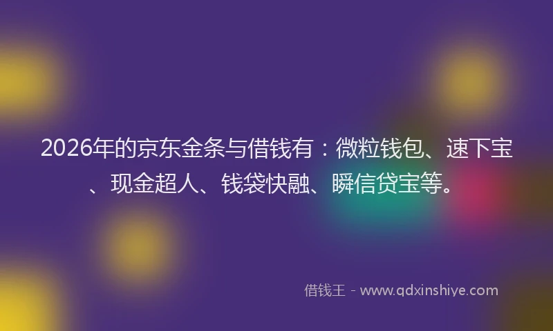 2026年的京东金条与借钱有：微粒钱包、速下宝、现金超人、钱袋快融、瞬信贷宝等。