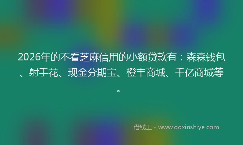 2026年的不看芝麻信用的小额贷款有：森森钱包、射手花、现金分期宝、橙丰商城、千亿商城等。